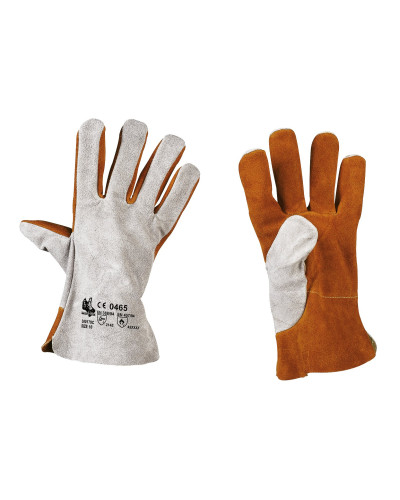 G.TO TERMOGRADE D/M.CROSTA